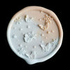 Butterfly Blizzard Wax Seal Stamp (Pre-Order)
