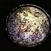 Celestial Flora Wax Seal Stamp (Pre-Order)
