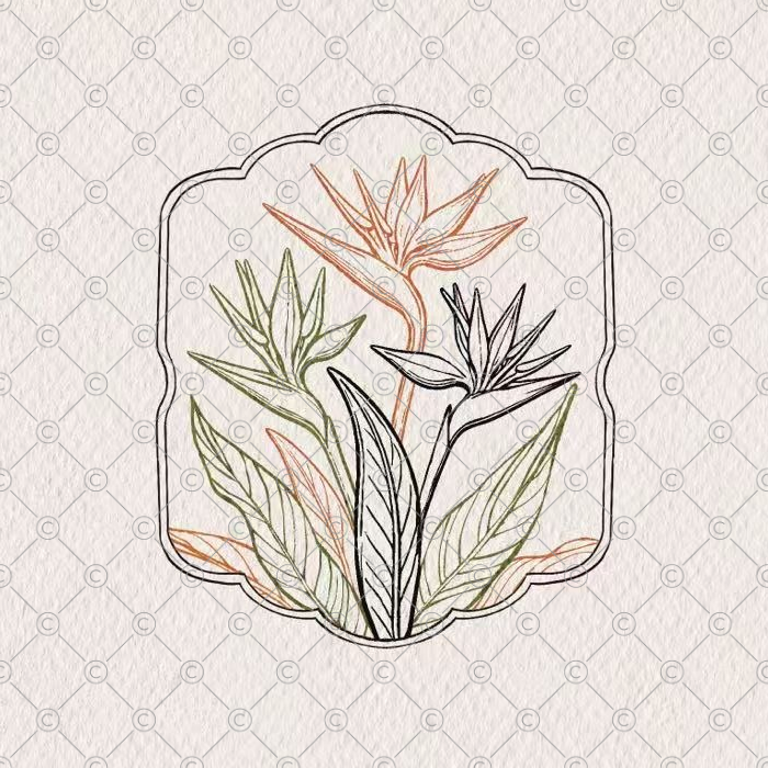 Custom Design