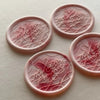 The Hidden Romance Wax Seal Stamp